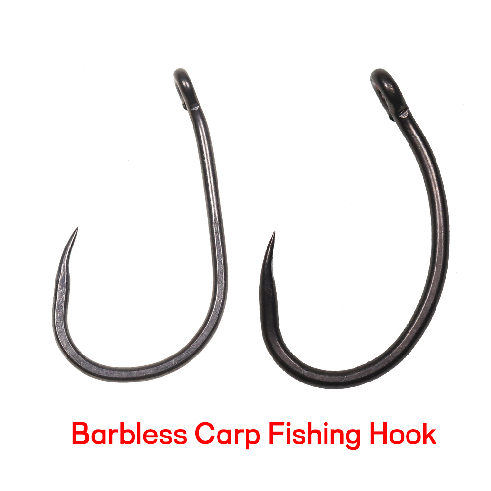 Fishing Hook Assortment - 50 hameçons de pêche à la