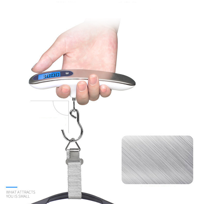 Fishing Hook - Balance Portable affichage numérique LCD 110lb/50kg